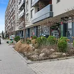 Grozavesti Easy Retreat